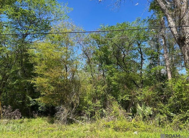 Lot 23 La Trace Rd, Livingston, LA 70754