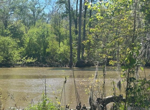 Lot 23 La Trace Rd, Livingston, LA 70754