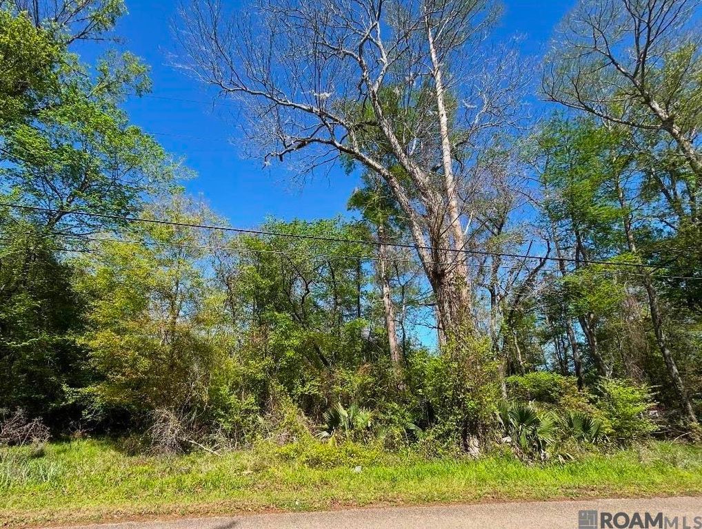 Lot 23 La Trace Rd, Livingston, LA 70754