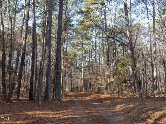 Lot 1 C Turkey Buzzard Lane, Pittsboro, NC 27312