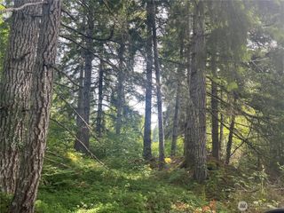 2230 W Beverly Boulevard, Shelton, WA 98584