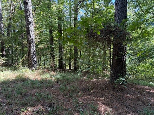 122 Lakeview Rd, Stewart, TN 37175