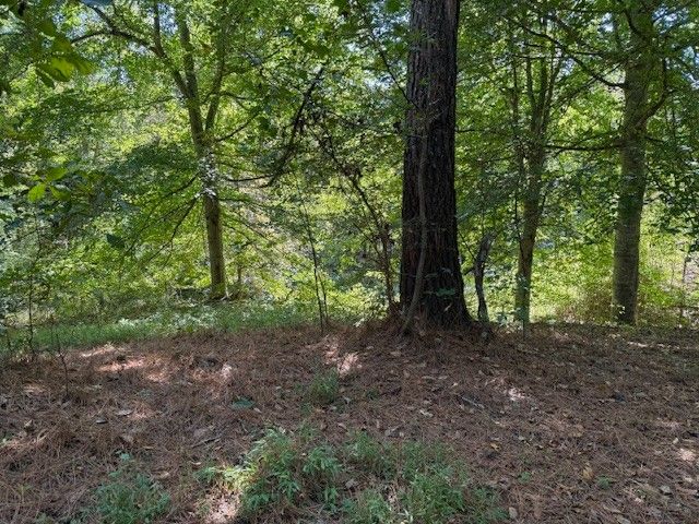 122 Lakeview Rd, Stewart, TN 37175