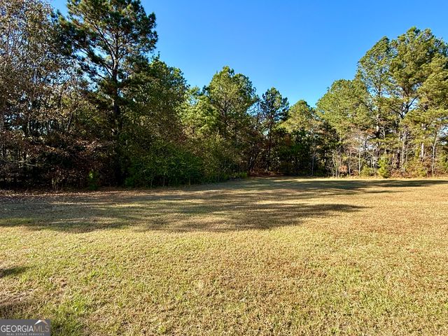 10199 Ga Highway 296, Stapleton, GA 30823