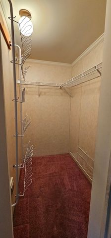 96 Trailwood Drive, Bridgewater, MA 02324