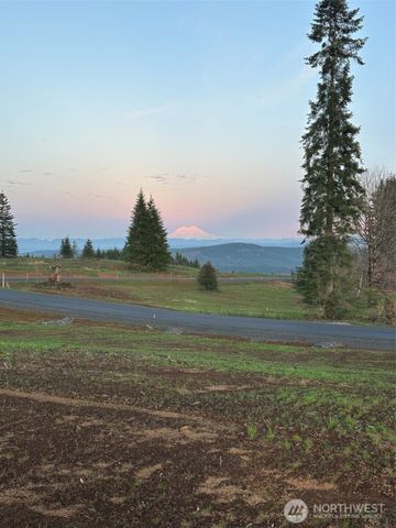 236 Suncrest Drive, Castle Rock, WA 98611