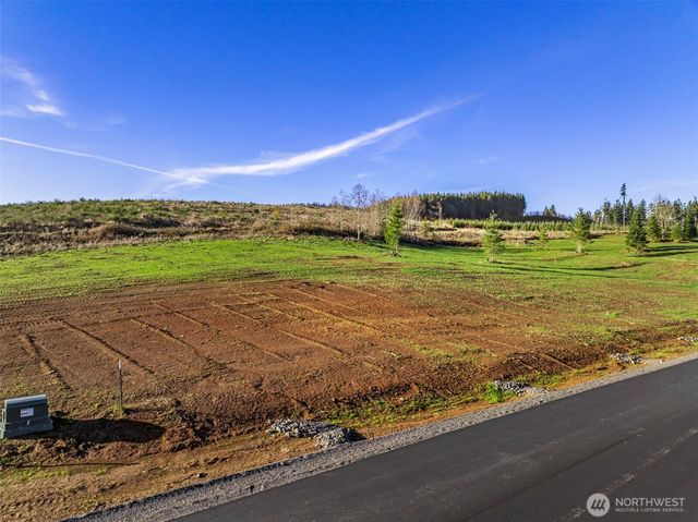 236 Suncrest Drive, Castle Rock, WA 98611