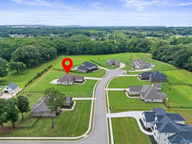 206 Stafford View Lane, Meridianville, AL 35759