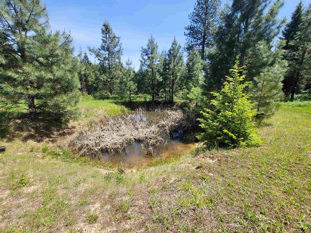 1162 Deep Woods Ln., Kendrick, ID 83537