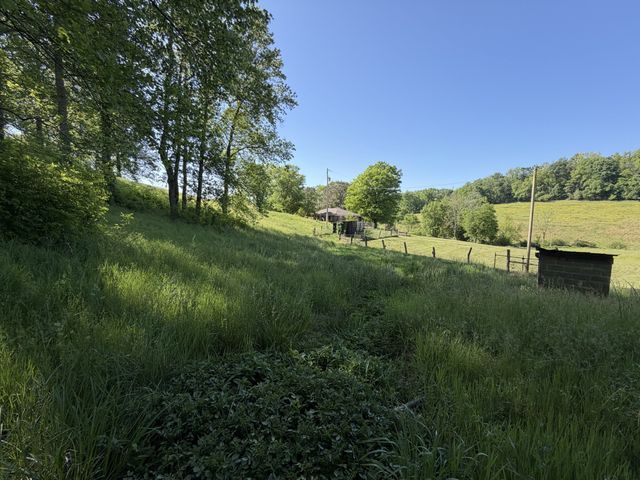 5170 Steam Mill Hollow Road, Williamsport, TN 38487