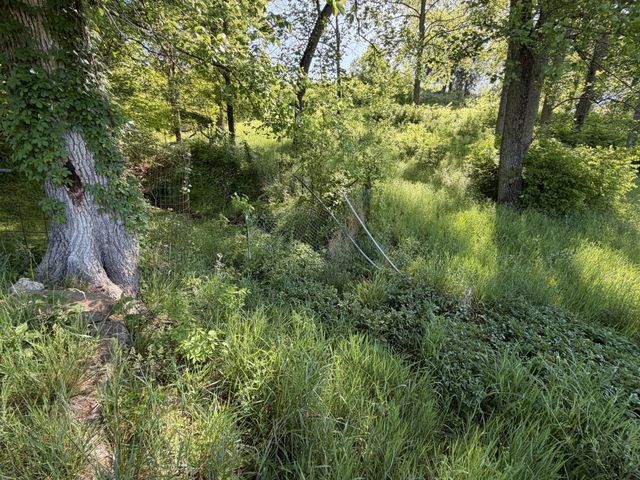 5170 Steam Mill Hollow Road, Williamsport, TN 38487