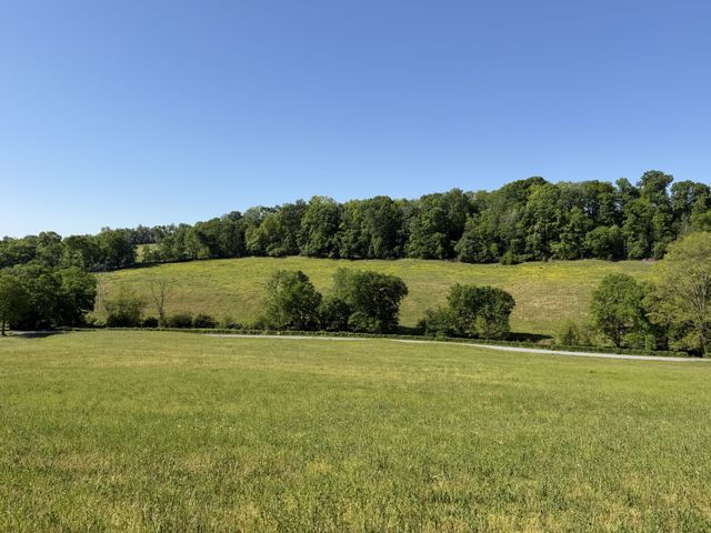 5170 Steam Mill Hollow Road, Williamsport, TN 38487