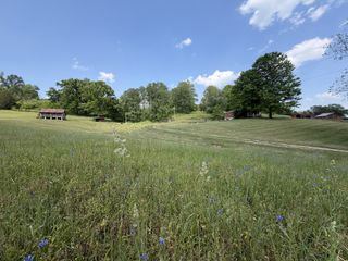 5170 Steam Mill Hollow Road, Williamsport, TN 38487
