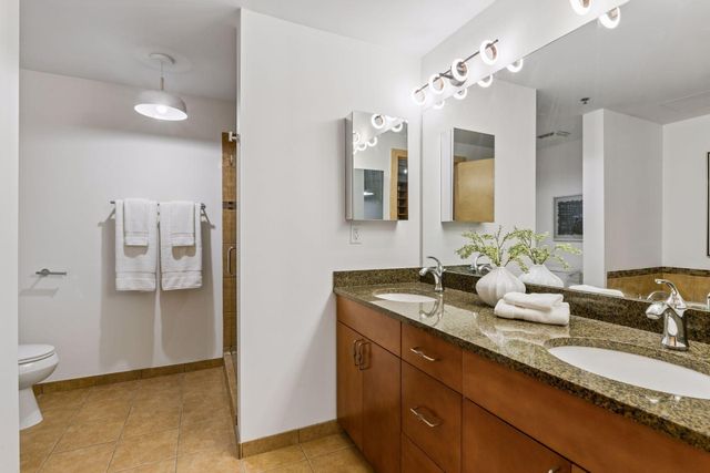 215 10th Avenue S 411, Minneapolis, MN 55415
