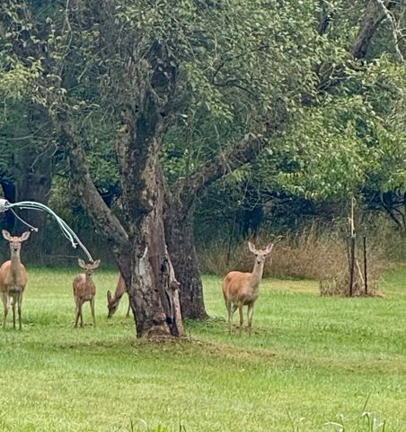 240 WATERFORD Street, Edinboro, PA 16412