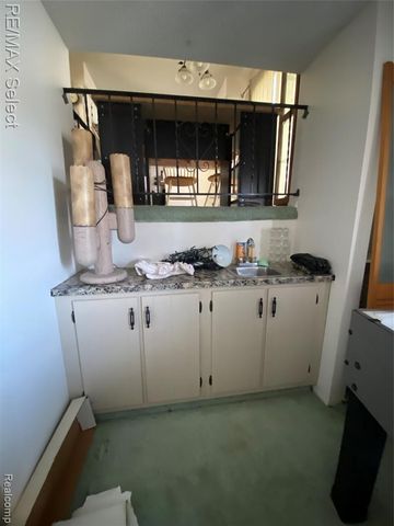 524 W Huron Street, Milford, MI 48381