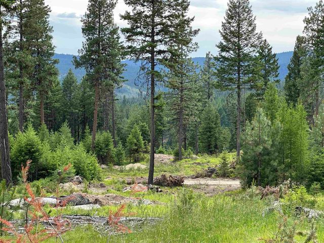 36XX Lot A Sheridan Rd, Republic, WA 99166 property photo