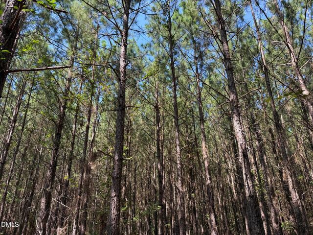 Lot 2 Hwy 42 Road, Goldston, NC 27252