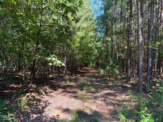 Lot 2 Hwy 42 Road, Goldston, NC 27252