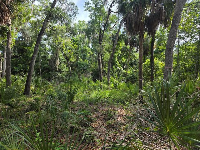 4876 RAMBLING RIVER ROAD, Brandon, FL 33511