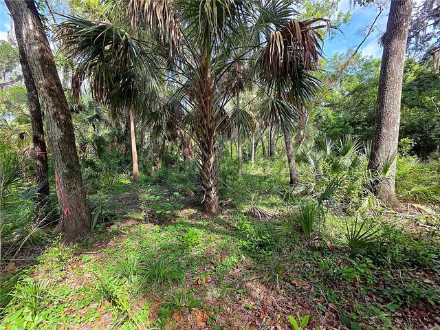 4876 RAMBLING RIVER ROAD, Brandon, FL 33511