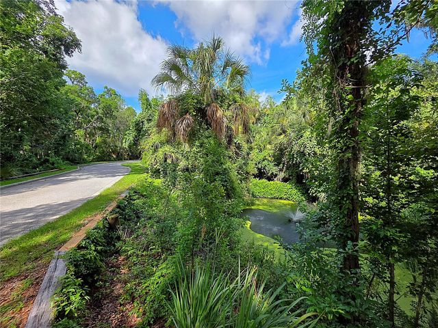 4876 RAMBLING RIVER ROAD, Brandon, FL 33511