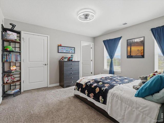 1929 Covered Bridge Parkway, Windsor, CO 80550