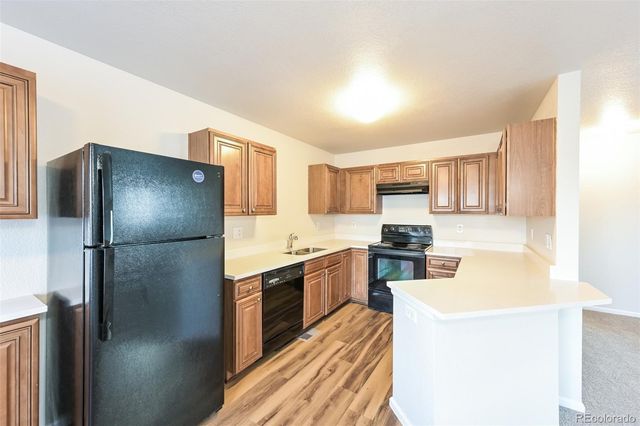 4428 Andes- Way, Denver, CO 80249