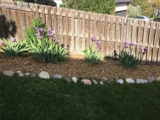 260 HAVERSHAM Drive, Colorado Springs, CO 80906