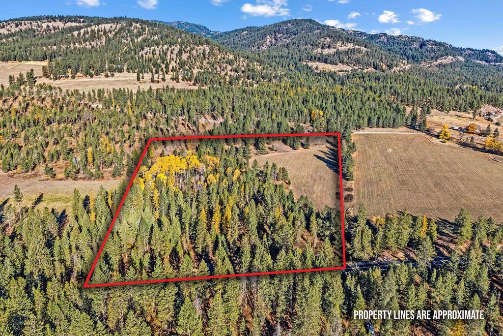 206X Addy Gifford Rd, Addy, WA 99101 photo 4