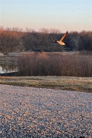 21195 Edgerton Junction Road Road, Dearborn, MO 64439