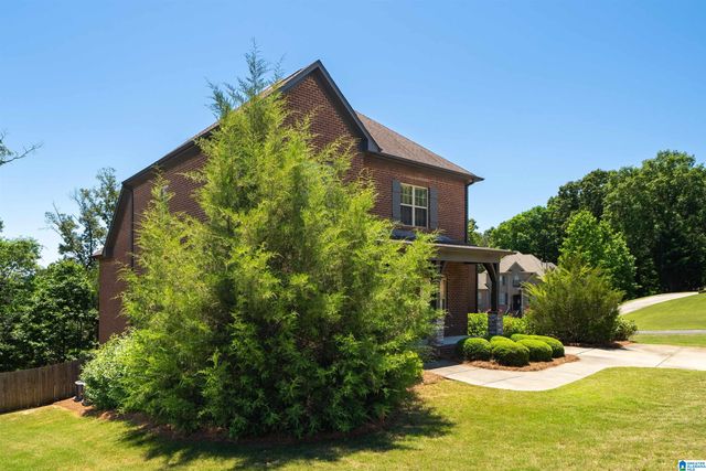 120 WILLOW BRANCH LANE, Chelsea, AL 35043