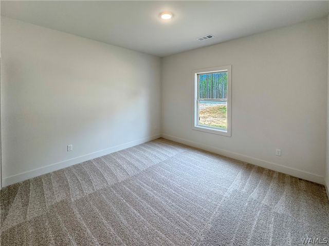 13624 Northside, Berry, AL 35546