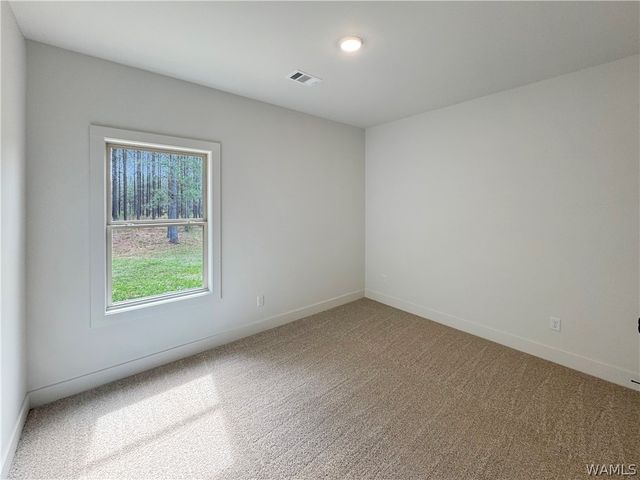 13624 Northside, Berry, AL 35546