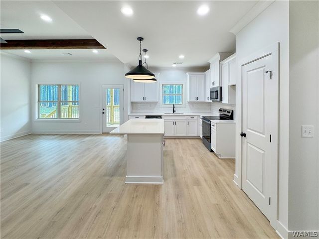 13624 Northside, Berry, AL 35546