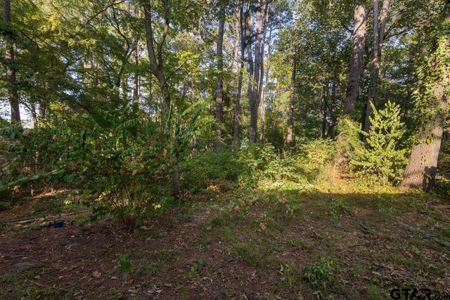 1219 Horseshoe Dr, Hideaway, TX 75771