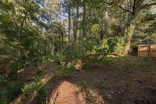 1219 Horseshoe Dr, Hideaway, TX 75771