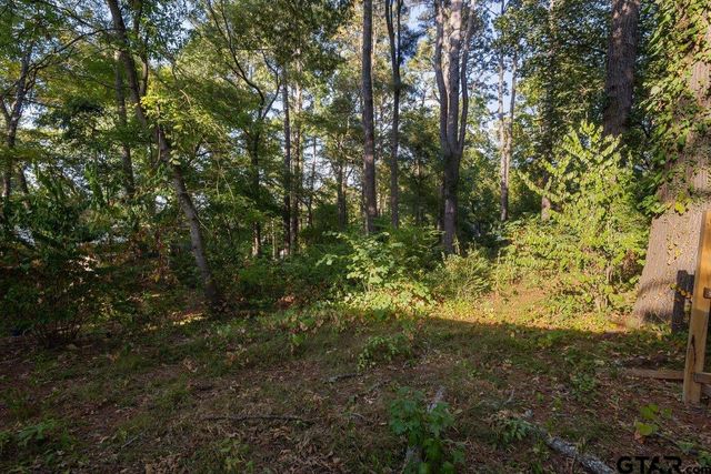 1219 Horseshoe Dr, Hideaway, TX 75771