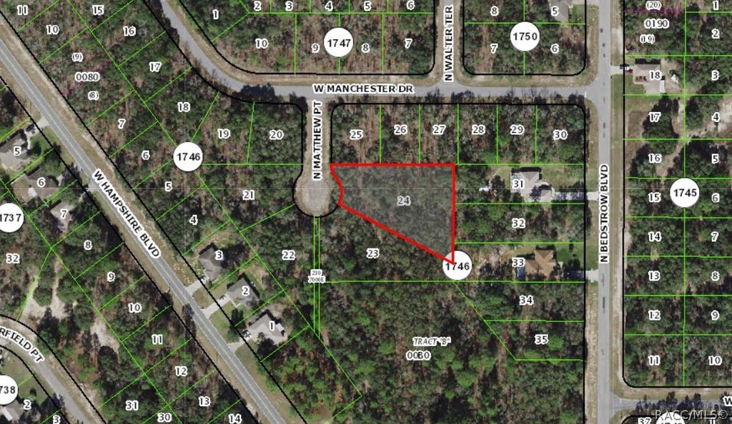 6039 N Matthew Point, Citrus Springs, FL 34434