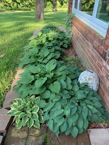 24461 Scenic Valley Drive, Cassville, MO 65625