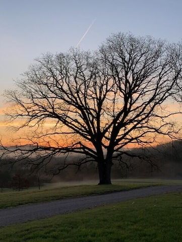 24461 Scenic Valley Drive, Cassville, MO 65625