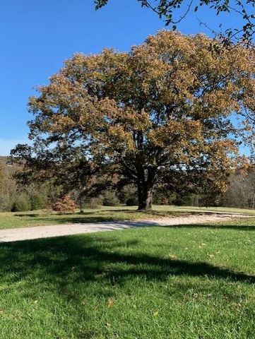 24461 Scenic Valley Drive, Cassville, MO 65625