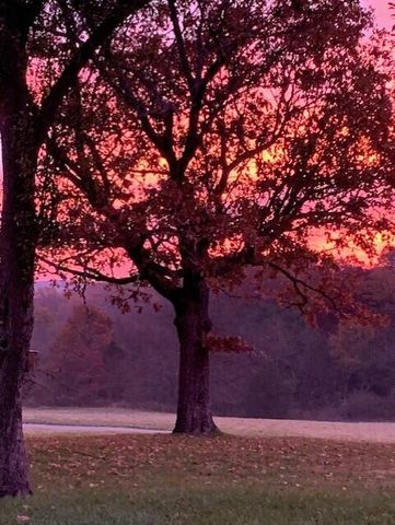 24461 Scenic Valley Drive, Cassville, MO 65625