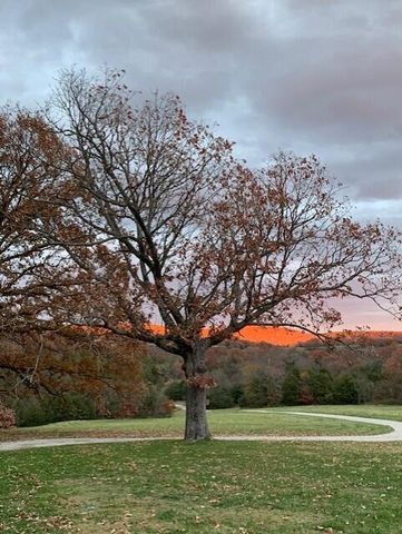 24461 Scenic Valley Drive, Cassville, MO 65625