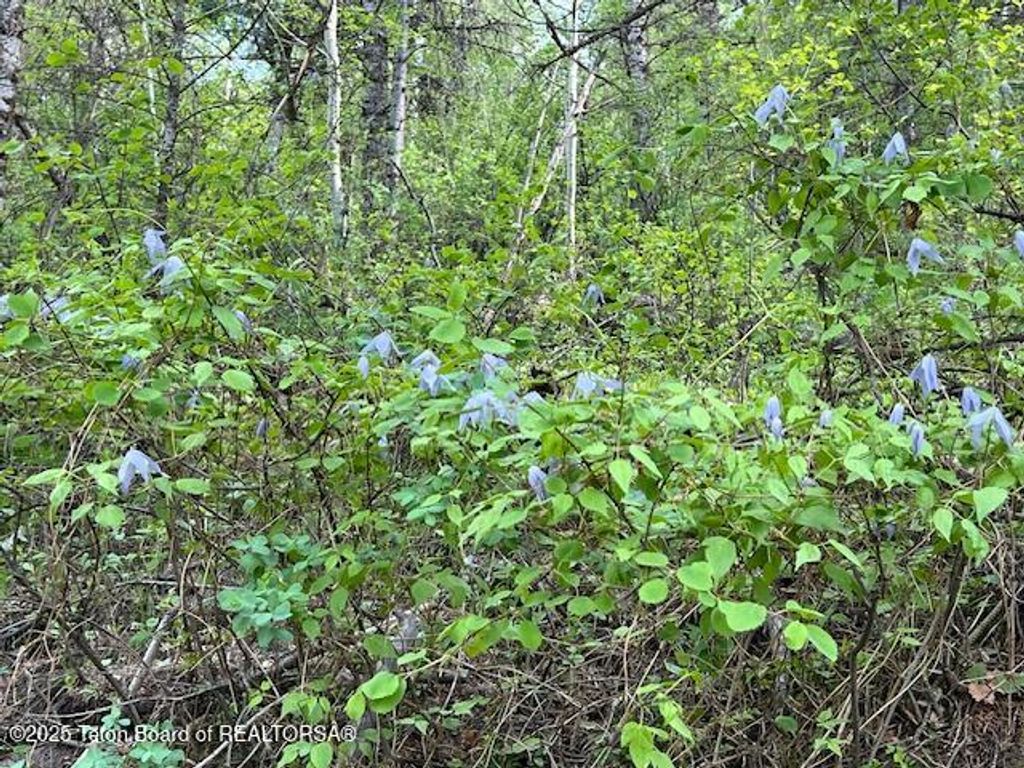 TRACT 1, 2 SKYLINE DRIVE, Fairview, WY 83119 photo 9