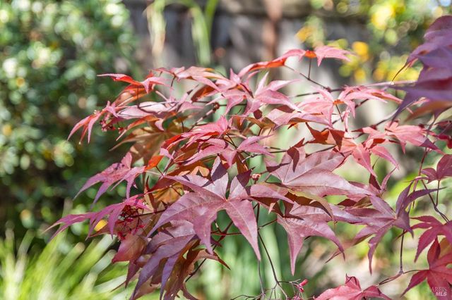 614 Deerfield Ln, Petaluma, CA 94952