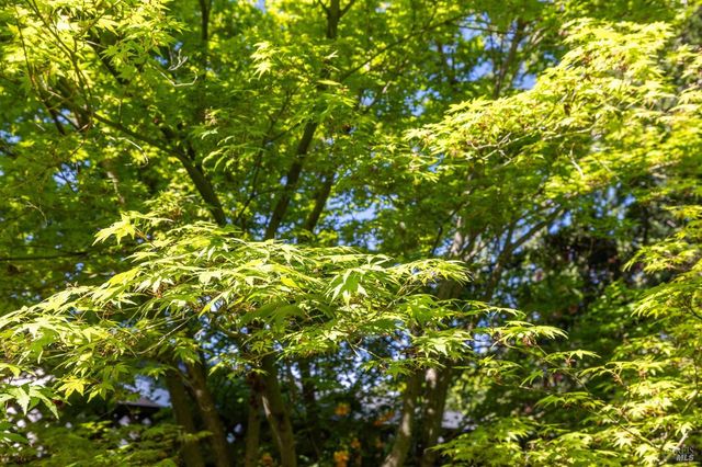 614 Deerfield Ln, Petaluma, CA 94952