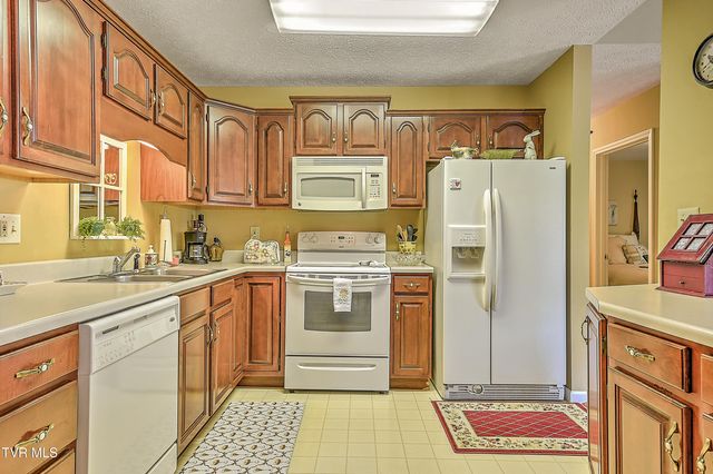713 Teasel Drive, 0, Kingsport, TN 37660