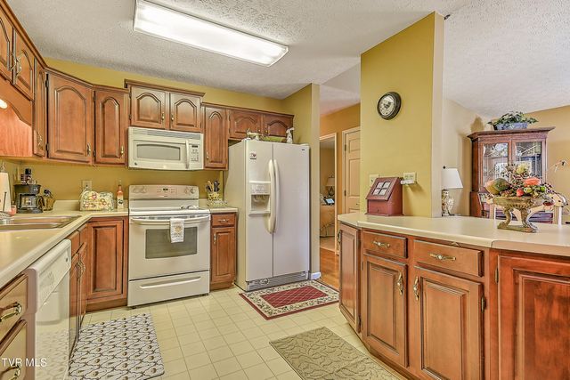 713 Teasel Drive, 0, Kingsport, TN 37660