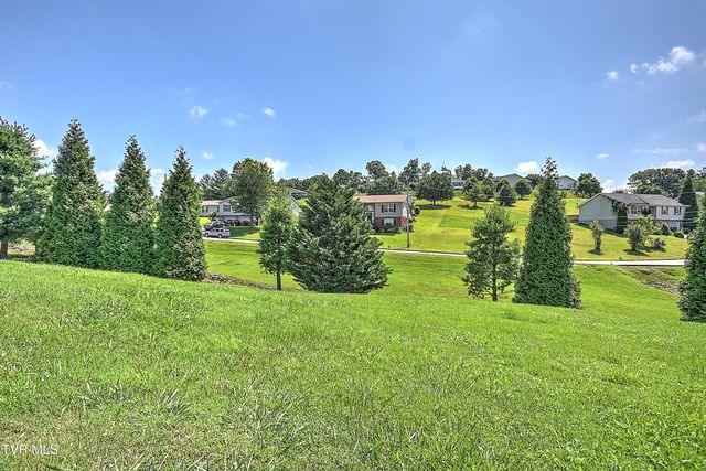 713 Teasel Drive, 0, Kingsport, TN 37660